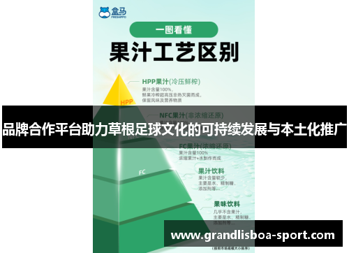品牌合作平台助力草根足球文化的可持续发展与本土化推广